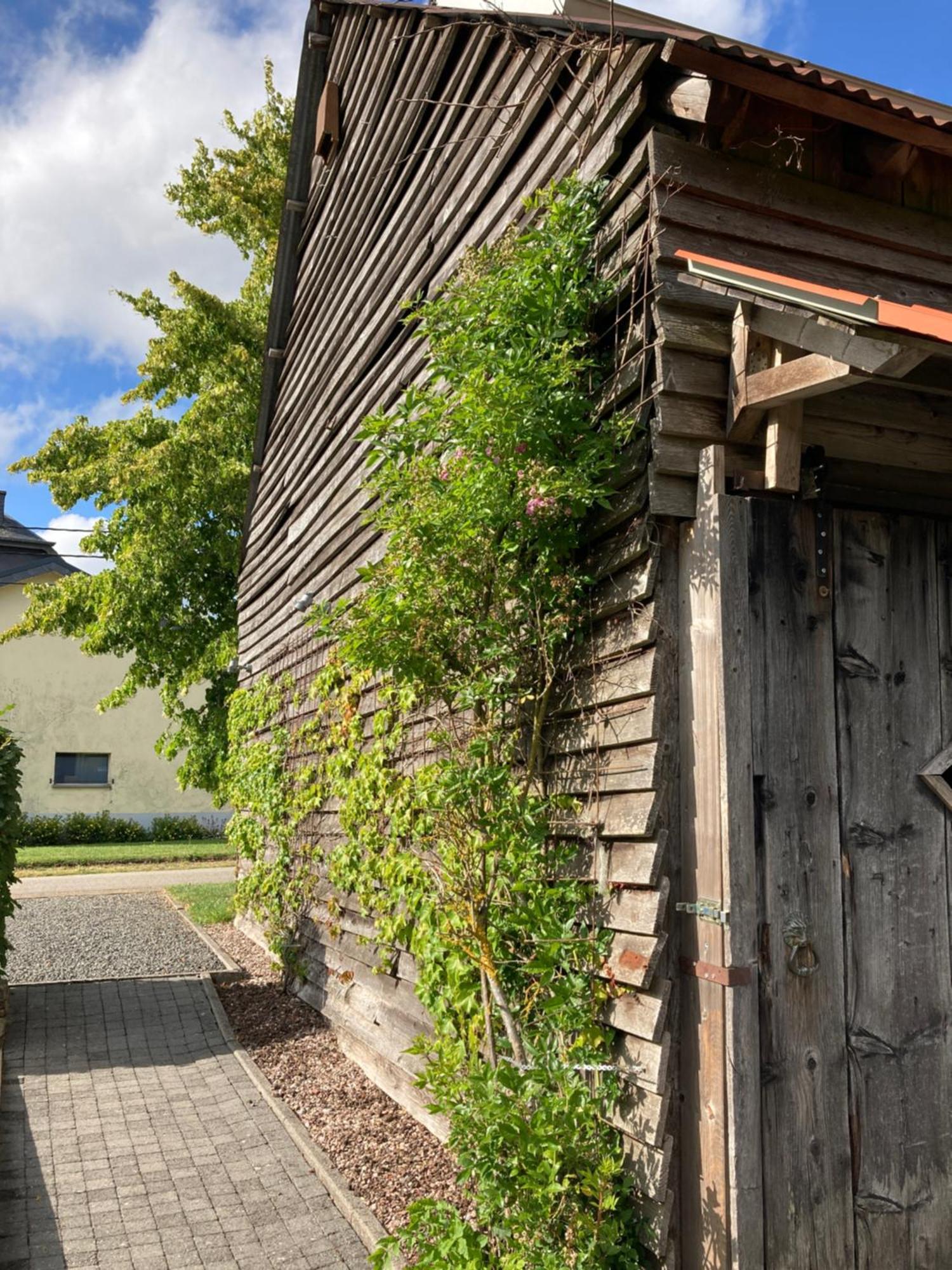 Paulis Cozy 4-Bedroom Vacation Home - With 4 Bathrooms Sun Terrace & Sauna, Nice To Hike & Bike, To Chil & Meet Büllingen Exterior foto