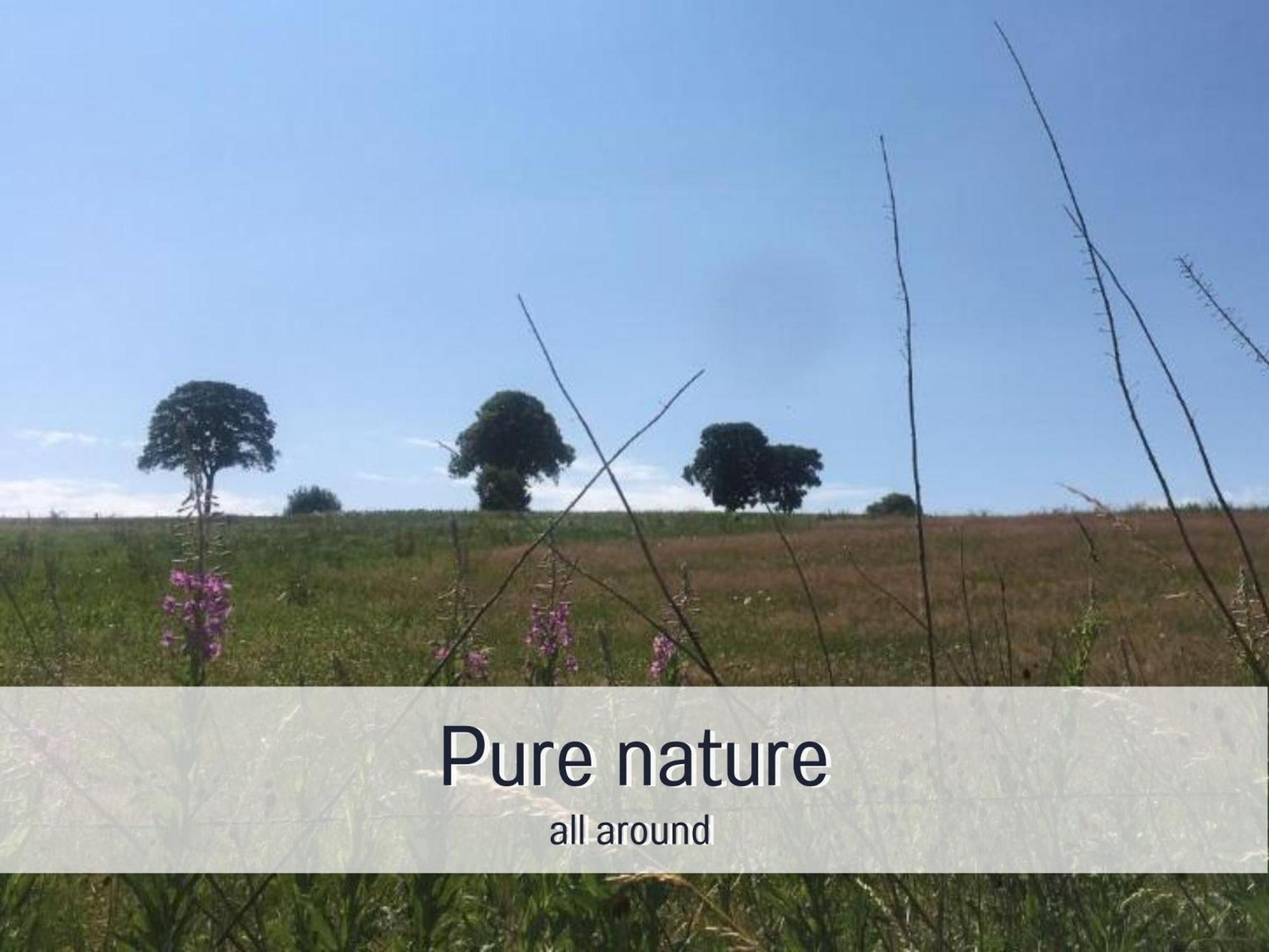 Paulis Cozy 4-Bedroom Vacation Home - With 4 Bathrooms Sun Terrace & Sauna, Nice To Hike & Bike, To Chil & Meet Büllingen Exterior foto